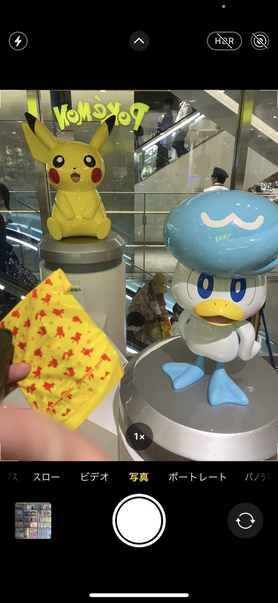 2泊５日
福岡旅