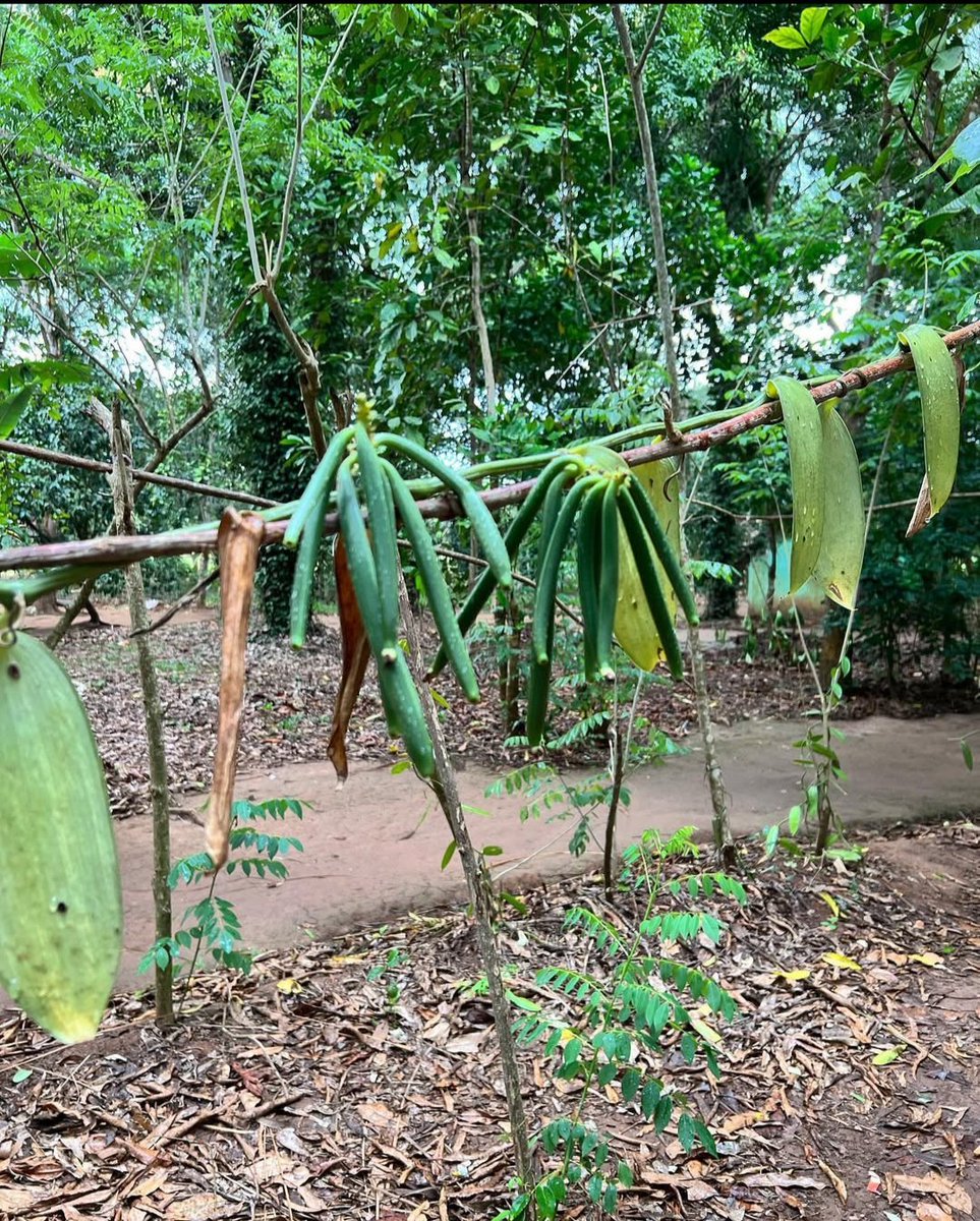 Fukwe Tours Company Ltd tweet media