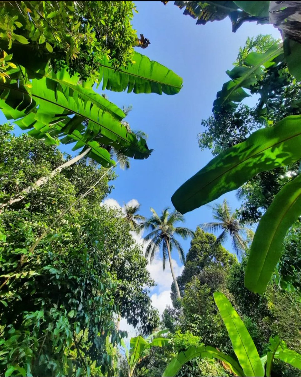 Fukwe Tours Company Ltd tweet media