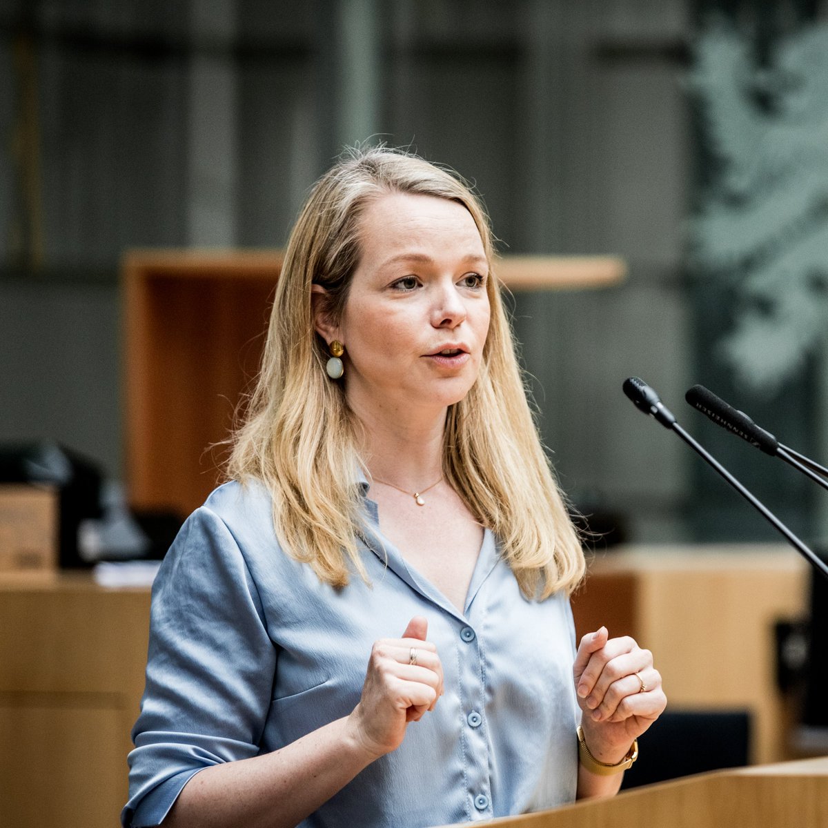 N-VA Vlaams Parlement tweet media