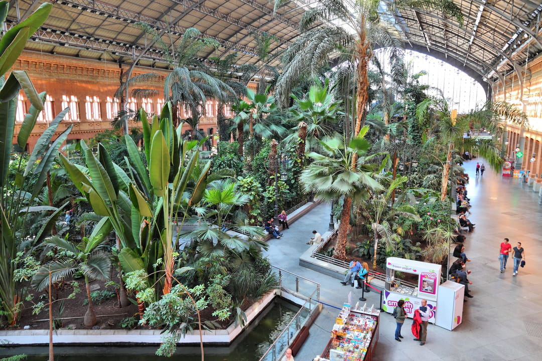 Le saviez-vous ?
Le grand jardin climatique au centre de la gare de Madrid à été réalisé avec toutes plantes de plus de 1m50 confisquées aux voyageurs.