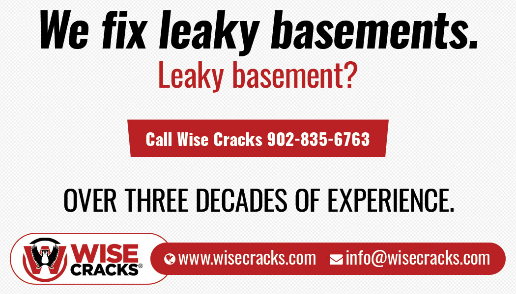 #basementwaterproofing #drybasement #leakybasement #homerepair #foundationrepair #concreterepair #sumppumps #realestate #waterproofing