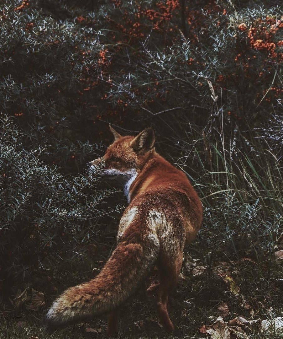 𝐋𝐮𝐜𝐢𝐞𝐧 (@c0urtfn0thng) on Twitter photo 