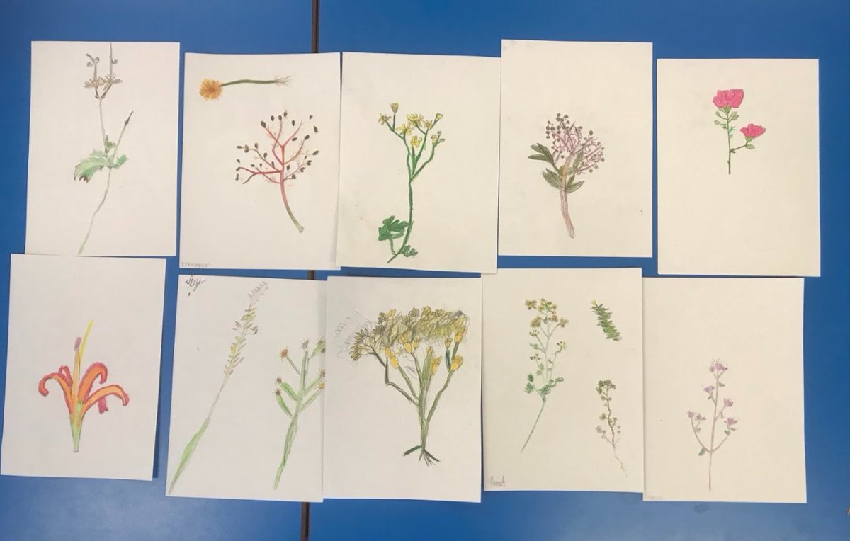 SuttonLibraries's tweet image. Appreciate the beauty of wild flora through this fun & engaging art activity. After a short walk in Oaks Park to gather weeds & leaves, children will return to the cafe for an inspiring lesson on observing & appreciating nature.
Find out more at: events.sutton.gov.uk/event?id=219173