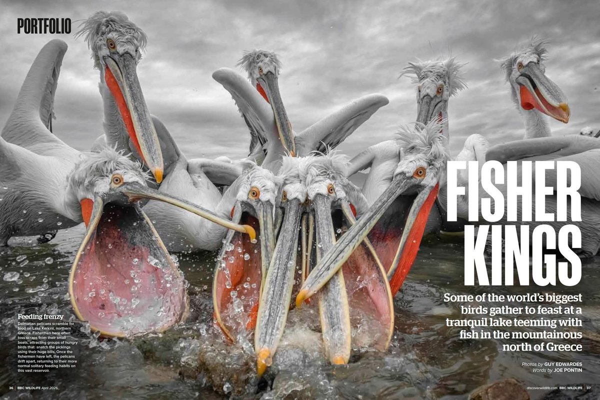 Guy Edwardes tweet media