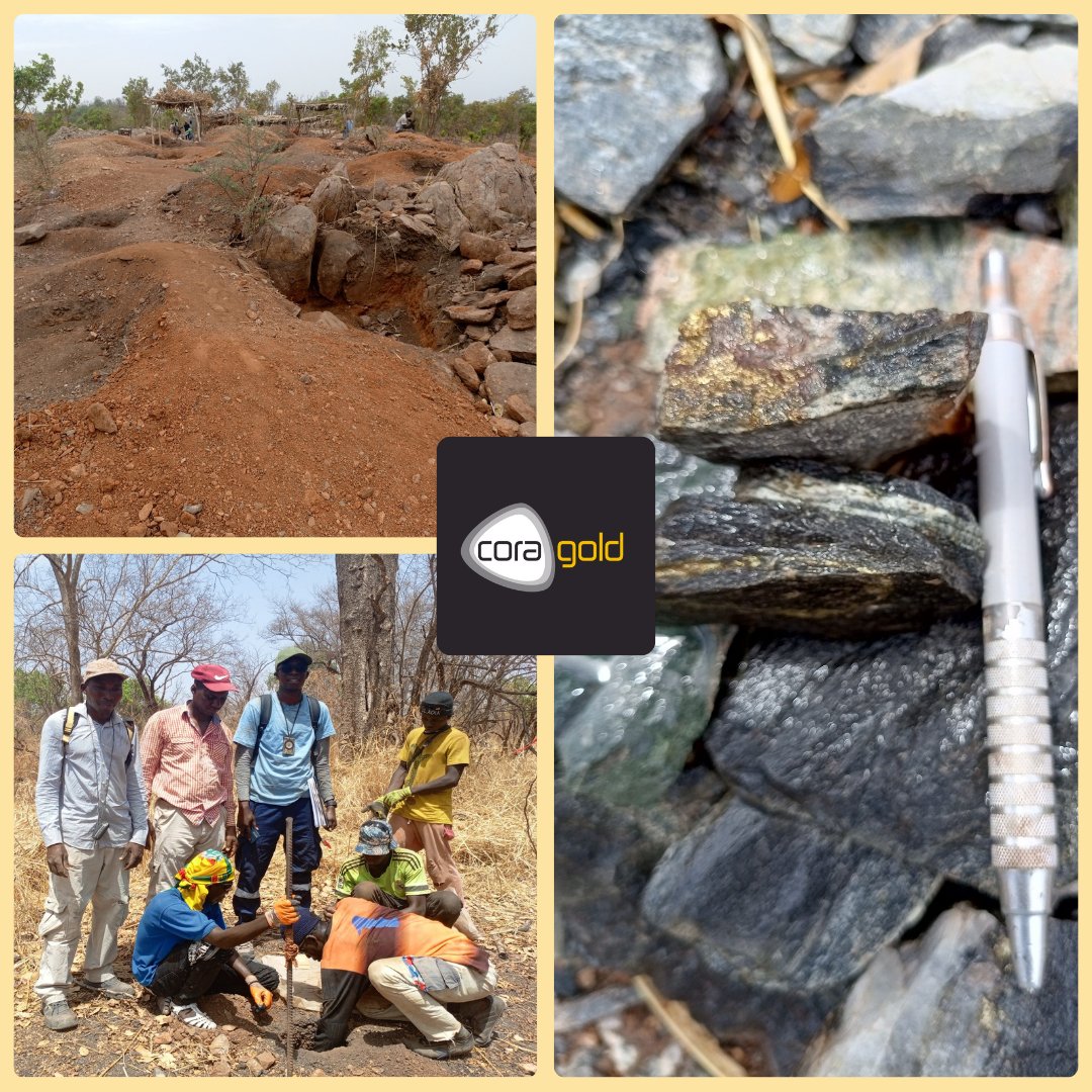 Cora Gold tweet media