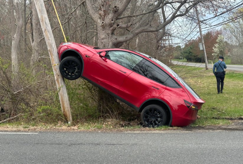 Wild Wild Invest tweet media