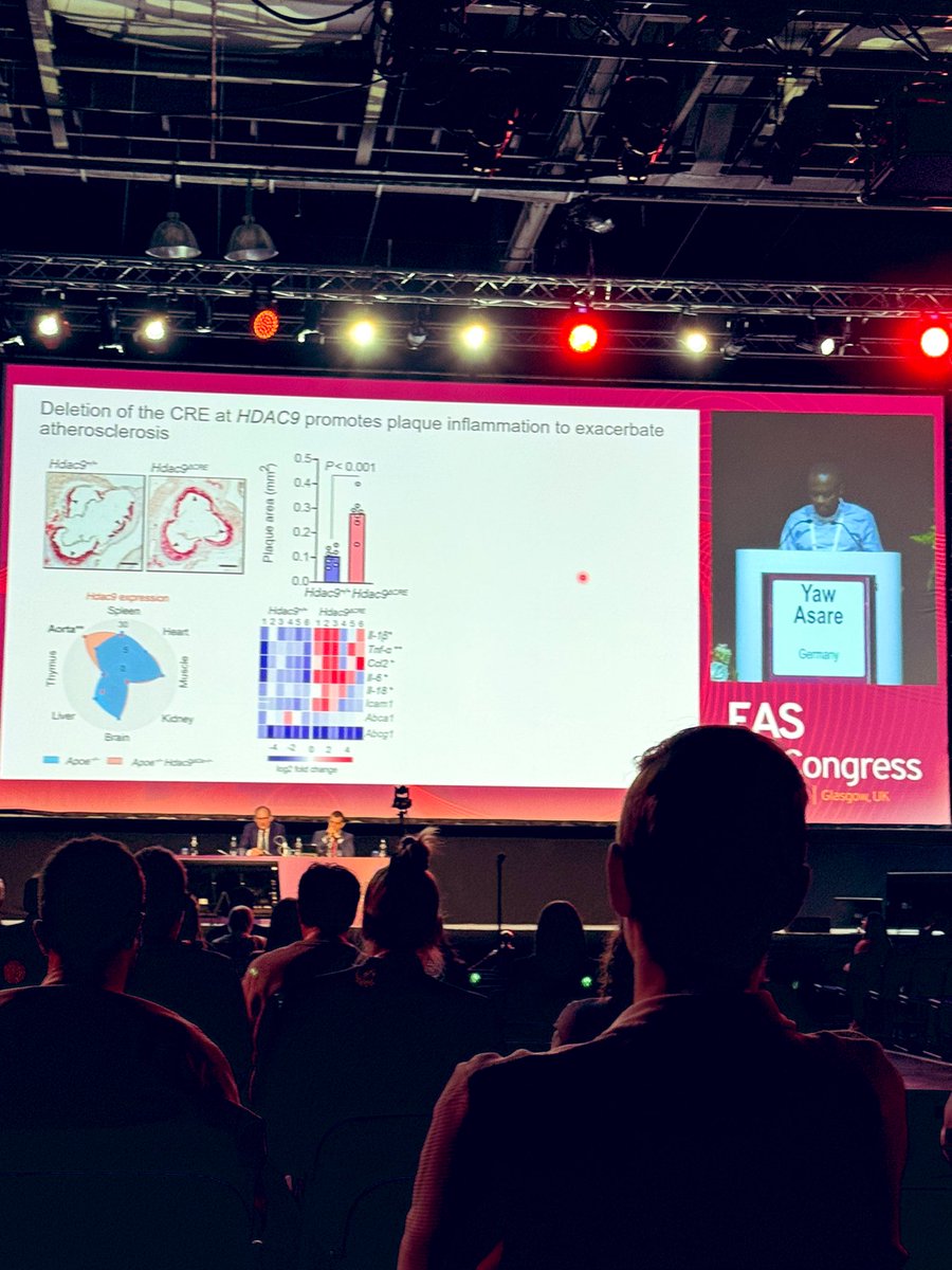 azin kheirkhah (@azinkh96) on Twitter photo 🔈Excellent presentations are being delivered at the Workshop on Inflammatory Mechanisms in Atherosclerosis!
#EASCongress2025 <a href="/society_eas/">European Atherosclerosis Society</a> 🔈Excellent presentations are being delivered at the Workshop on Inflammatory Mechanisms in Atherosclerosis!
#EASCongress2025 <a href="/society_eas/">European Atherosclerosis Society</a>