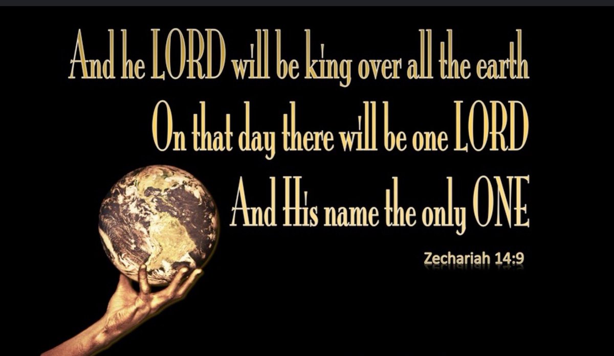 Rosie Fakes (@rosiefakes) on Twitter photo 