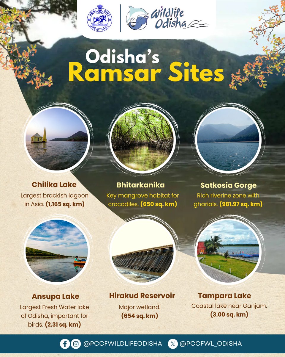 Ramsar Sites are internationally recognized wetlands of ecological importance, designated under the Ramsar Convention to protect their biodiversity and promote sustainable use.

Wetlands are lifelines — they purify water, store carbon, support wildlife, and sustain communities.