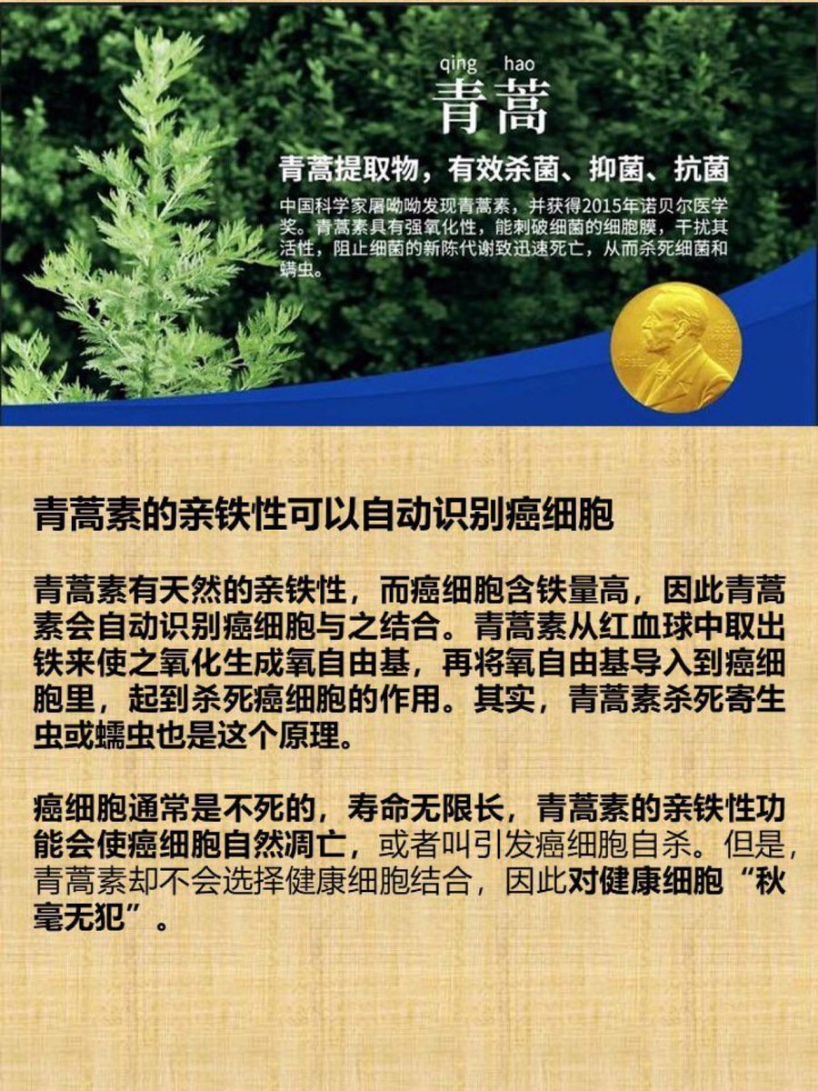 青蒿素有天然的亲铁性，而癌细胞含铁量高，因此青蒿素会自动识别癌细胞与之结合。青蒿素从红血球中取出铁来使之氧化生成氧自由基，再将氧自由基导入到癌细胞里，起到杀死癌细胞的作用。其实，青蒿素杀死寄生虫或蠕虫也是这个原理。

癌细胞通常是不死的，寿命无限长！
