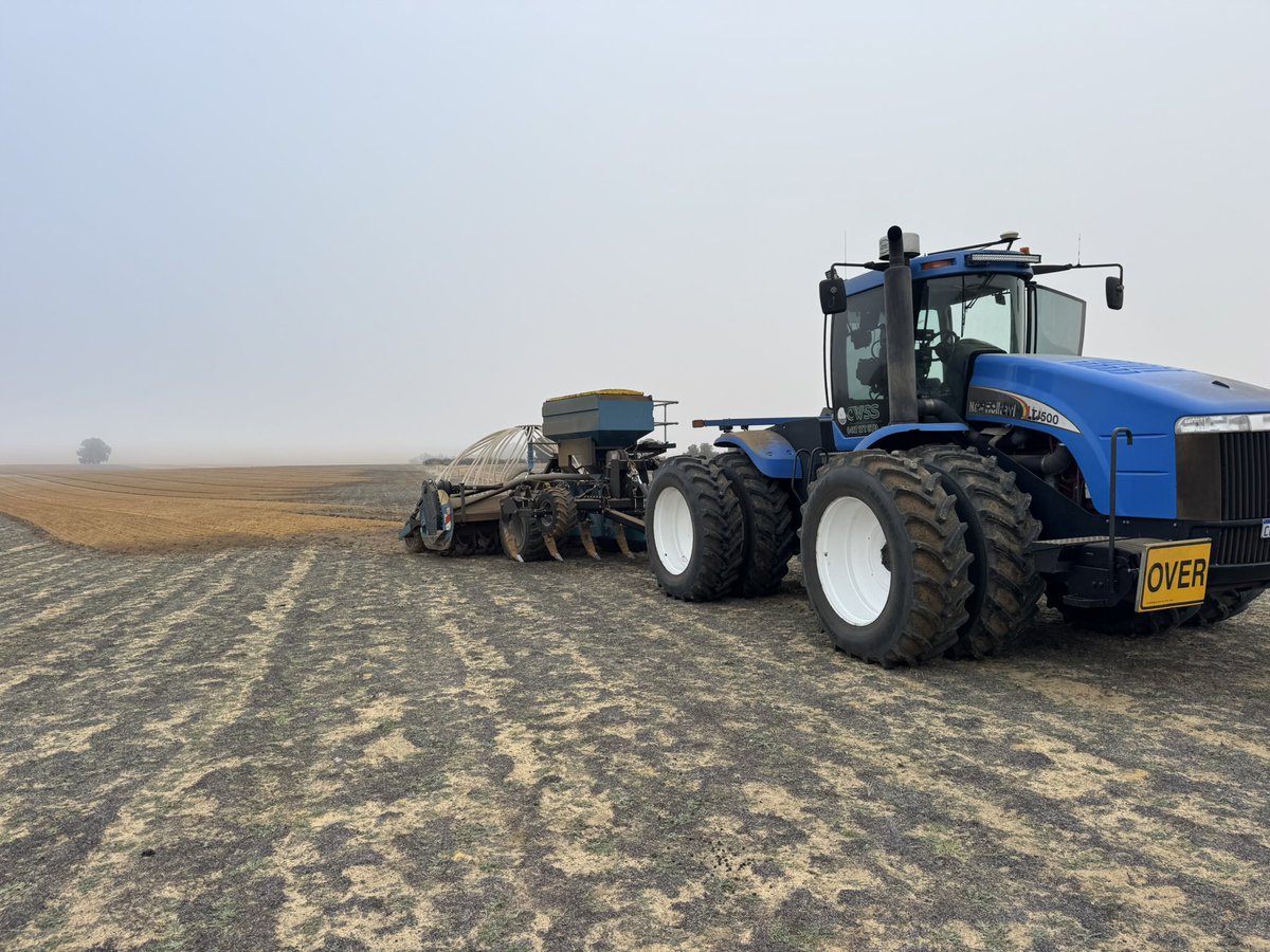 Nathan Evans tweet media