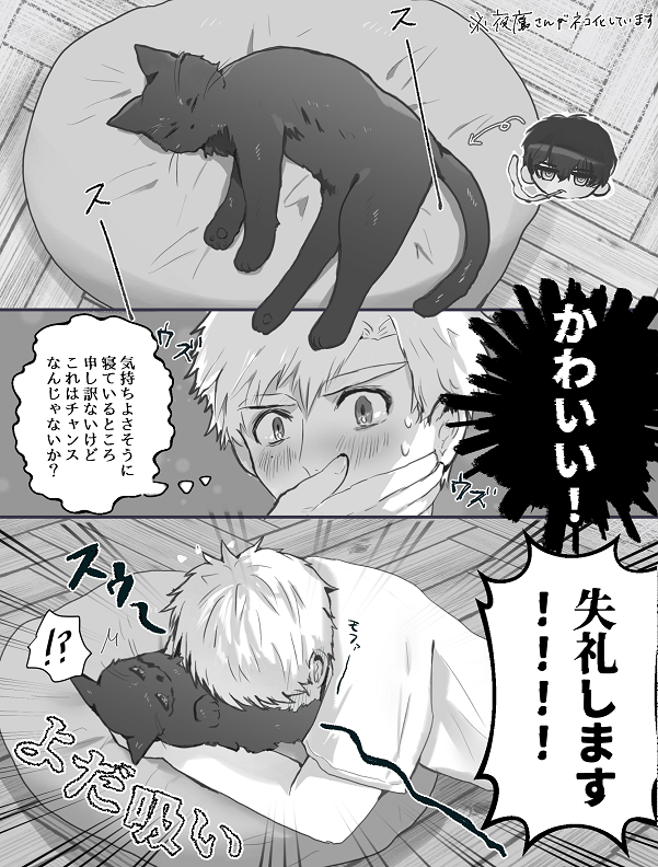 よだつか ※猫化しています 