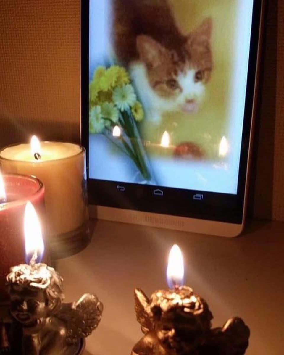 今日は、こげんたちゃんの命日でした。
2002年5月6日の深夜から7日未明にかけて起きた悍ましい虐待事件。
今年も、こげんたちゃんや、虐待の犠牲になった全ての命に祈りを捧げました。
私はあなたを忘れない！
#こげんたちゃん命日
#こげんた事件
#こげんたちゃんを忘れない
#こげんたちゃん