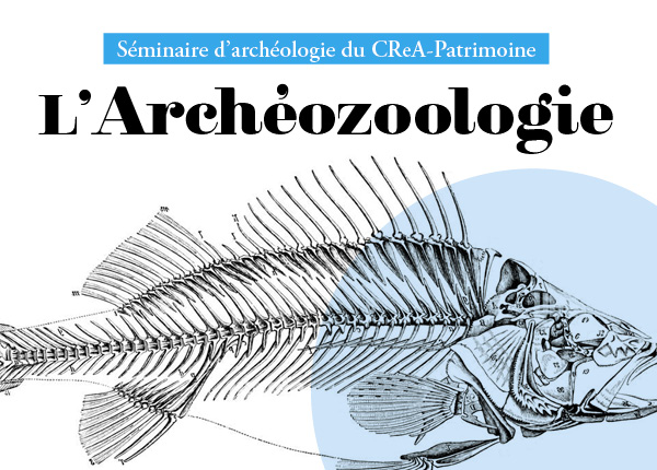 This year, the CReA seminar at the Université libre de Bruxelles (#ULB, Belgium) was dedicated to #archaeozoology.
On this occasion, our colleague Nicolas Morand presented his work on Hellenistic and Roman #Egypt.

crea.phisoc.ulb.be/fr/agenda/semi…

#research #archaeology #egypt