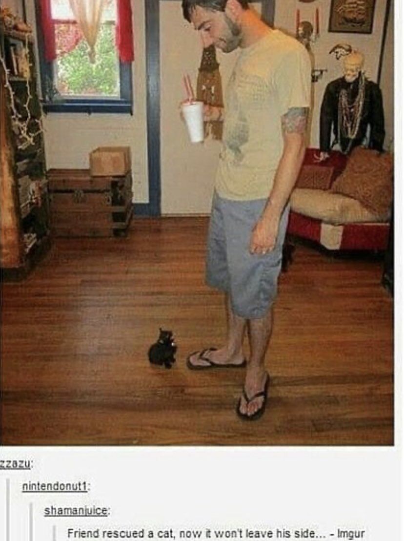 WholesomeMemes (@wholesomememe) on Twitter photo 
