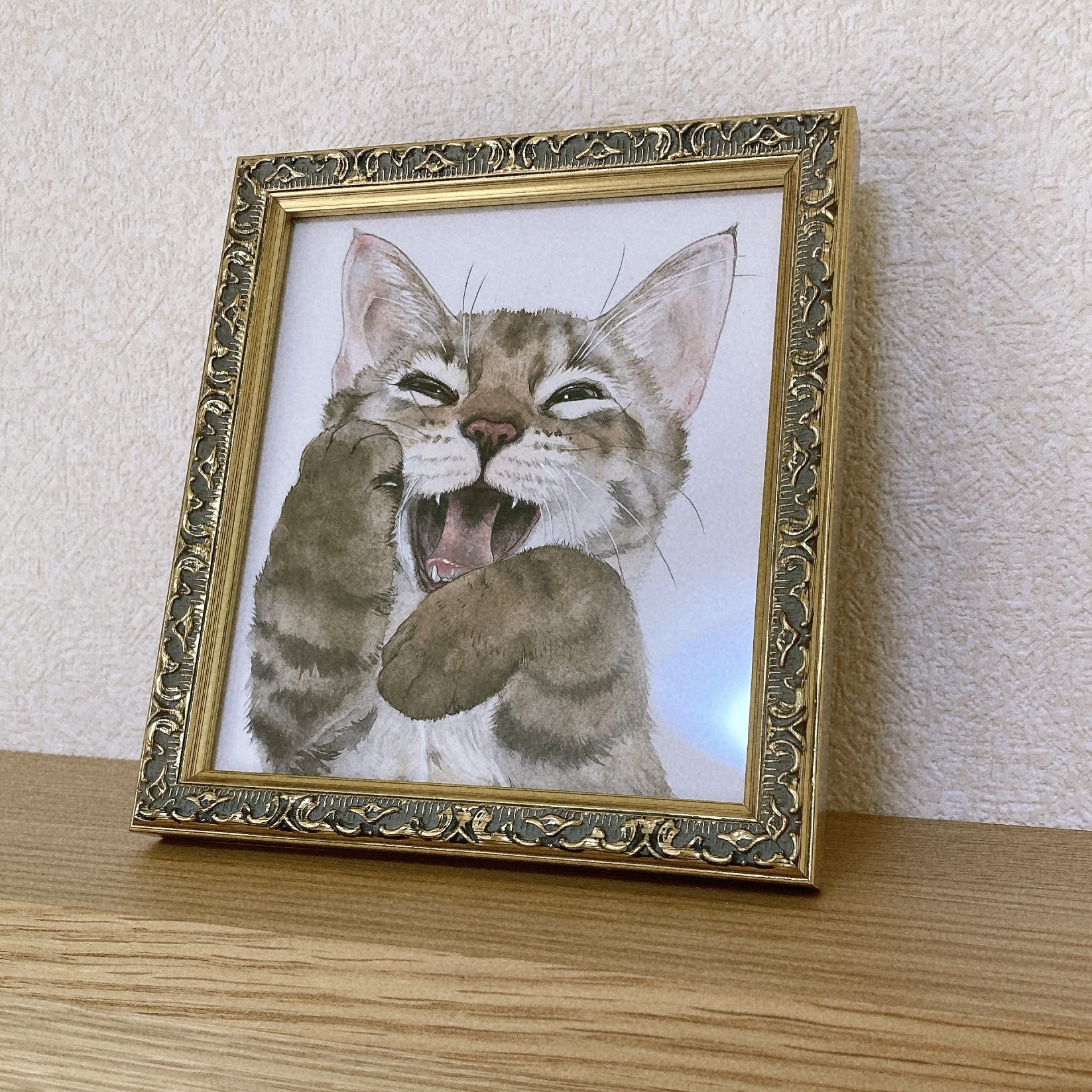 catseye_sub10.jpg?impolicy=lt&