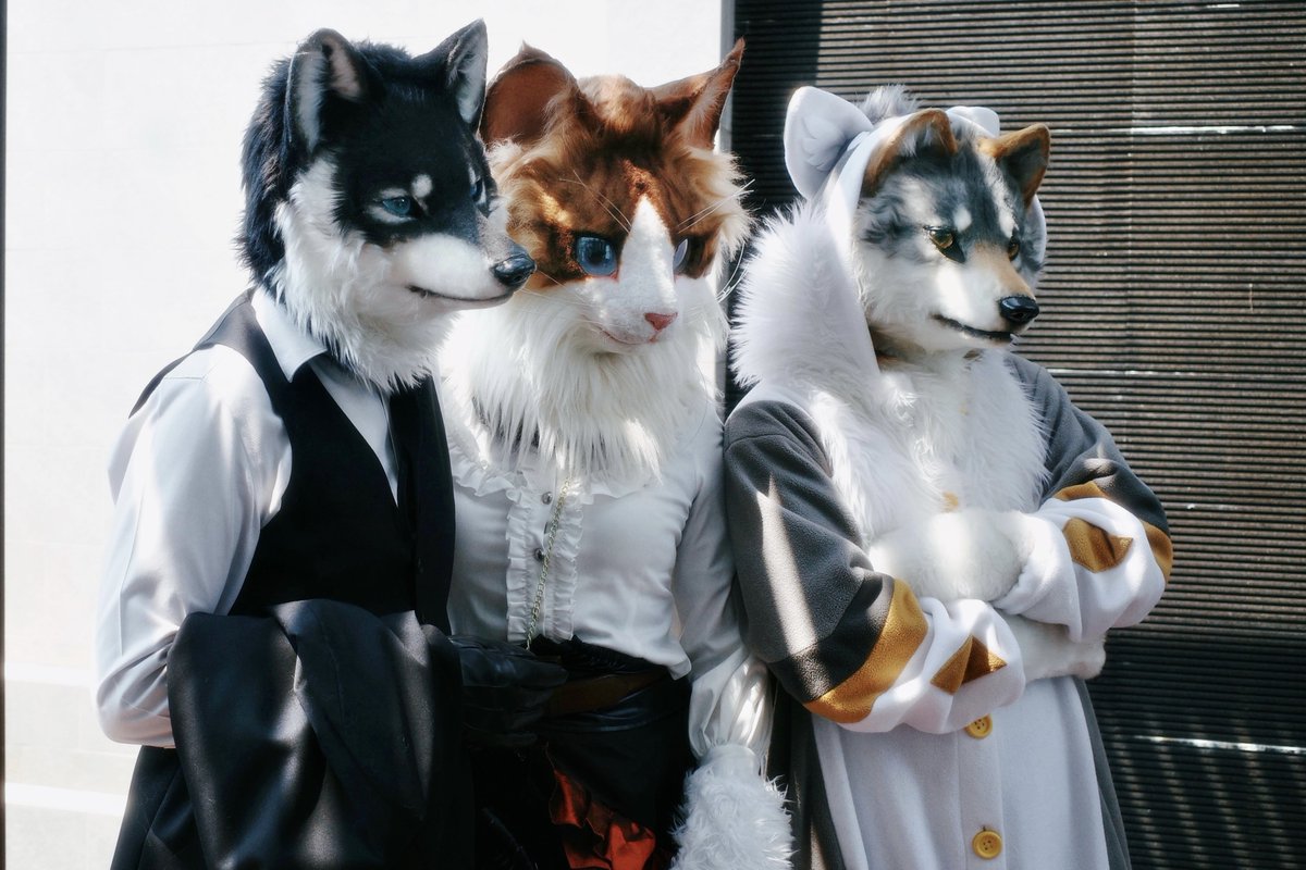 いたずらもふもふ隊！

🐺 <a href="/kohakuwolf/">Kohaku 琥珀</a> 
🐱 <a href="/yako568987/">Yako</a> 
🐺 <a href="/jeongambro/">Hangaebi🌼</a> 

#創造トリアノン 
#茶太郎堂 #Thaitails2025