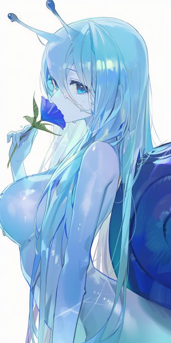 Snail / かたつむり 