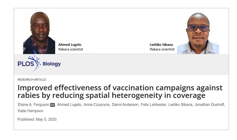 🐕 RABIES:
Uneven dog vaccination slows down control efforts 💉

📢 A new study published in <a href="/PLOSBiology/">PLOS Biology</a> uncovers the answer: uneven vaccination coverage and regional movement of dogs are major drivers of the disease's persistence.

Researchers from <a href="/UofGlasgow/">University of Glasgow</a> &amp; <a href="/ifakarahealth/">Ifakara Health Institute</a>
