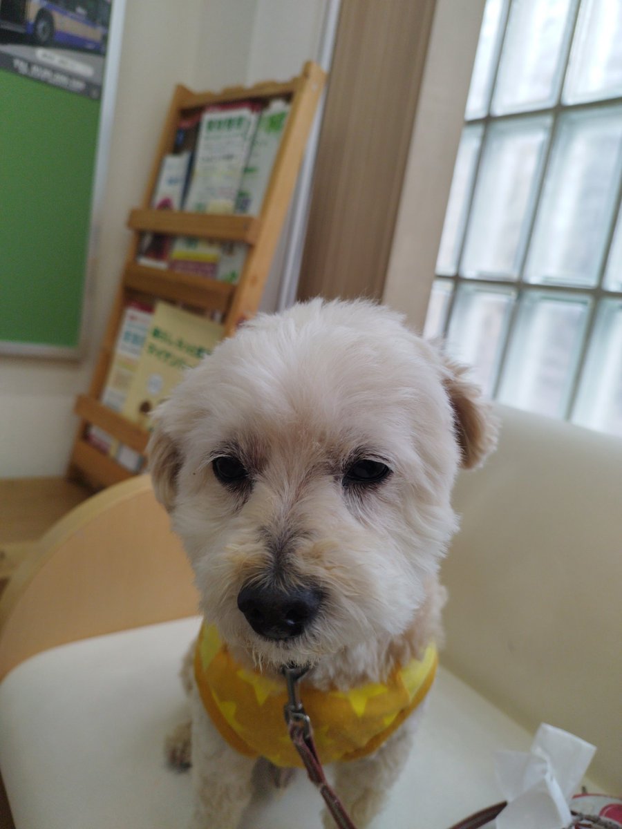 srlouji's tweet photo. 社労士　GWがあっても　売り上げ下がるわけではない　いい商売だ　
トレードは、GWがあると売り上げ減るが　まあ　副業なので
どうでもいい　

トレード　スト高で持ち越してたやつ　利確　再度スト高したが、入れず　１つ入り微益

225先物勝ち

得切り　なし　ルール◯ https://t.co/elH4XDnm3h