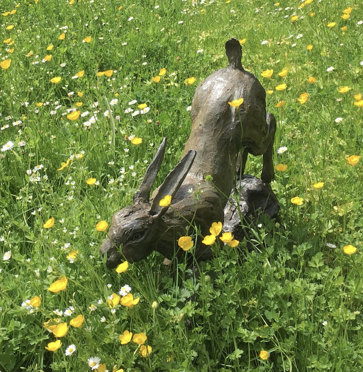 We are lucky to see Hares regularly in the fields around our holiday cottages or in sculpture form at some of the amazing sculpture garden events.#Cotswolds
#VisitCotswolds
#RuralLife
#BritishCountryside
#CountryLiving
#UKWildlife
#NatureInArt
#SculptureArt
#OutdoorArt