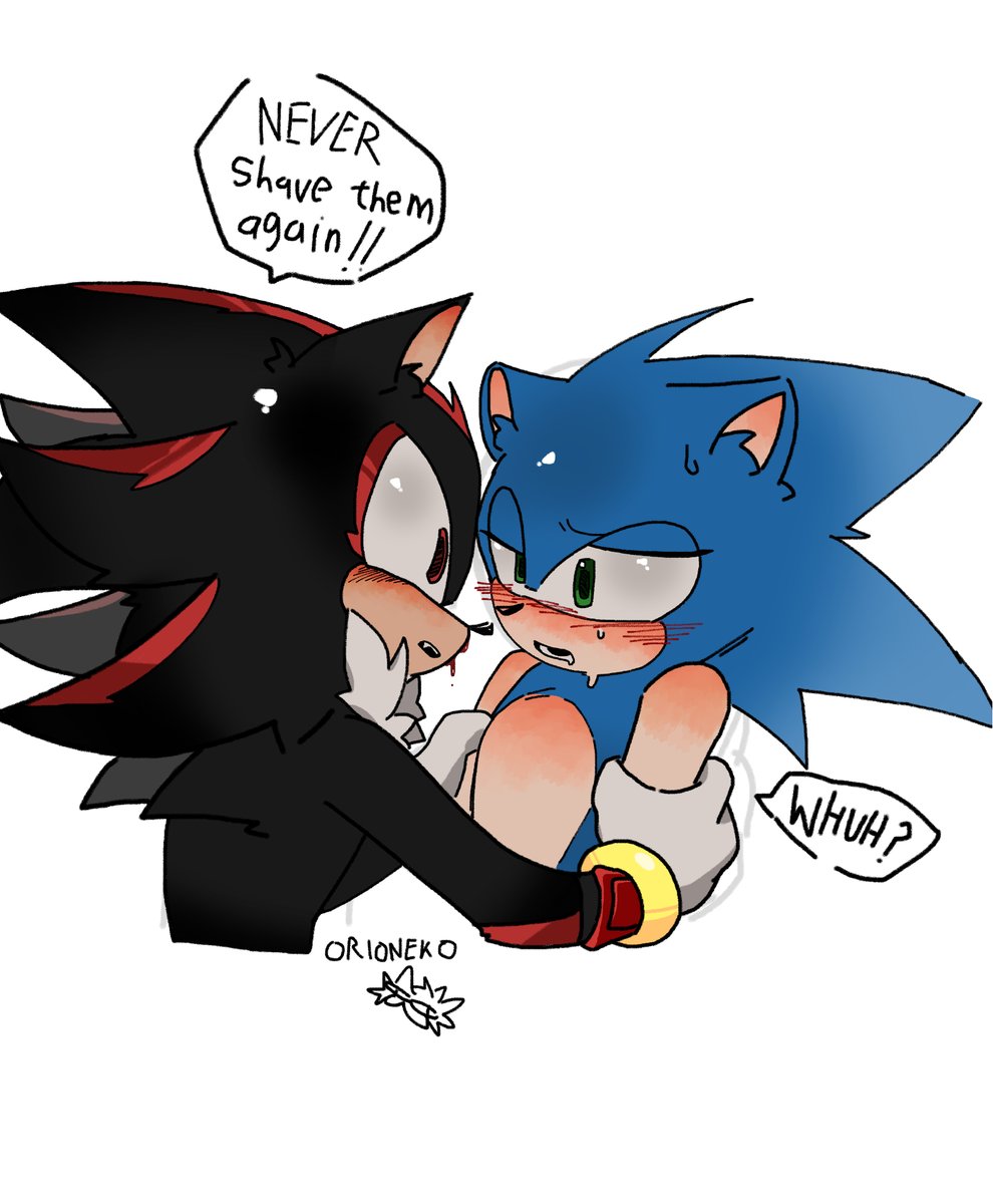 ORIONEKOWOB114's tweet photo. happy hedgehog awareness week everyone!!! :3
#sonadow #ShadowTheHedgehog #SonicTheHedgehog #TailsTheFox #MariaRobotnik #SonicAU https://t.co/fchogY5LC9