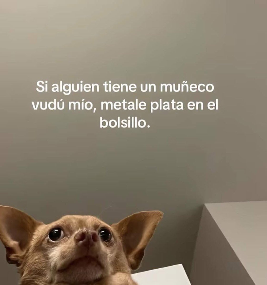 En Júpiter (@en_jupiter_) on Twitter photo 
