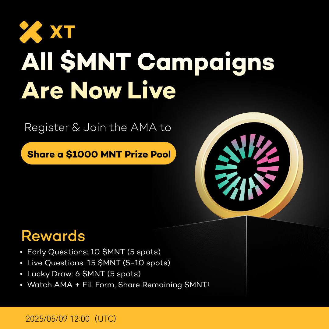 XT Exchange 🚀 tweet media