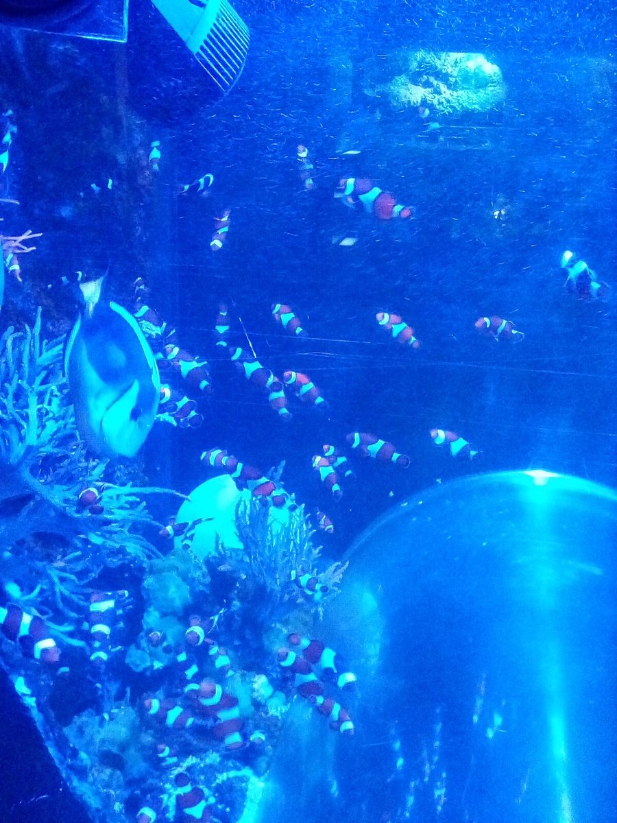 Heather Moore tweet media