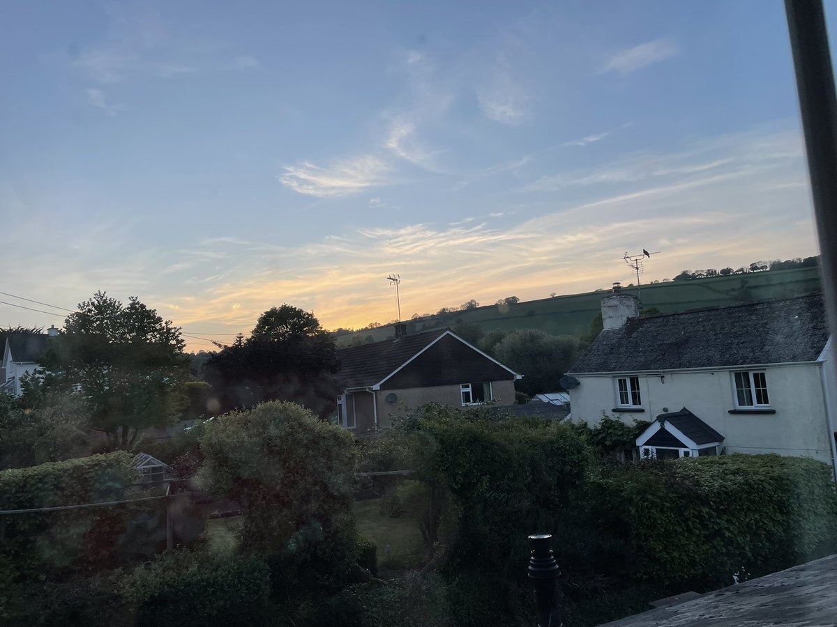 WgsCmc's tweet photo. Morning furs! Mum has been busy we have last nights sunset and sunrise pictures today!
@PoppyAndMolly2 @AnnebrindleAnne #Cats #CatOntwitter #CatsOfTwitter #Hedgewatch https://t.co/HEnhOXsvIj