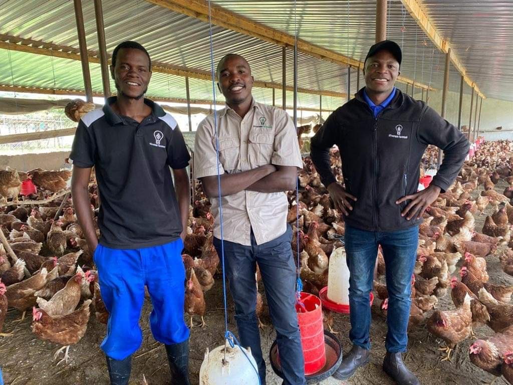 wenceslous7's tweet image. Today let’s talk about which farming has good PROFIT

Let’s discuss and learn 

A thread (with images and explanations)