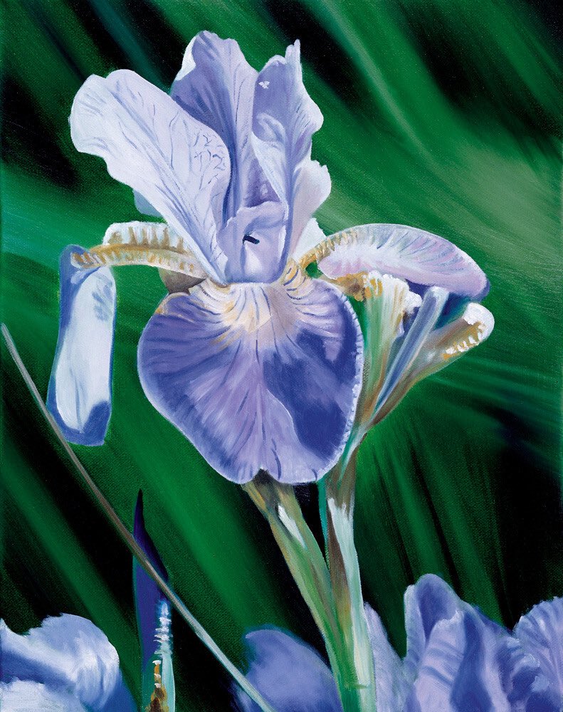 ArtGuideAlex's tweet photo. Iris #JamesKnowles https://t.co/BcoJ562mIe