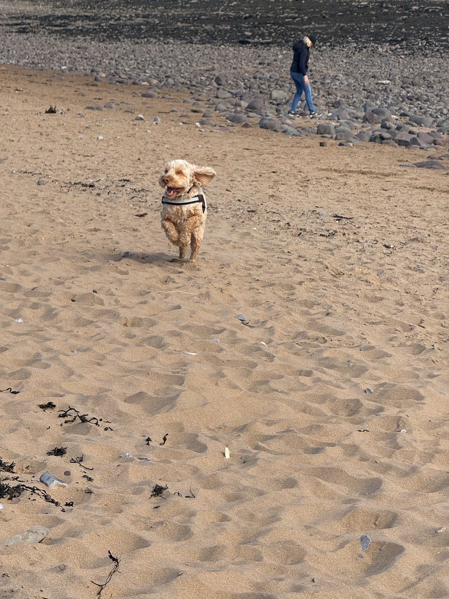 His happy place