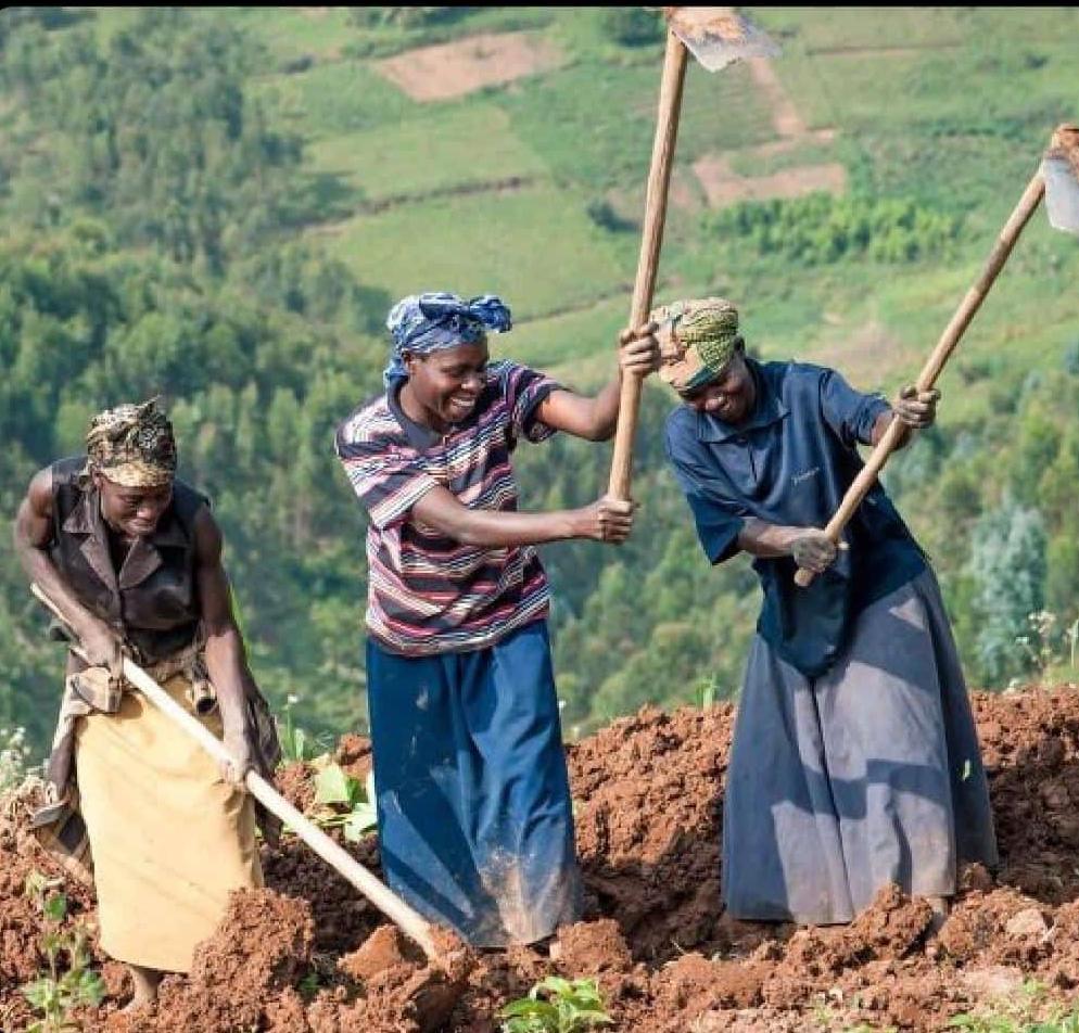 "Pia wako amekuitisha hio pesa ya champions league ?"