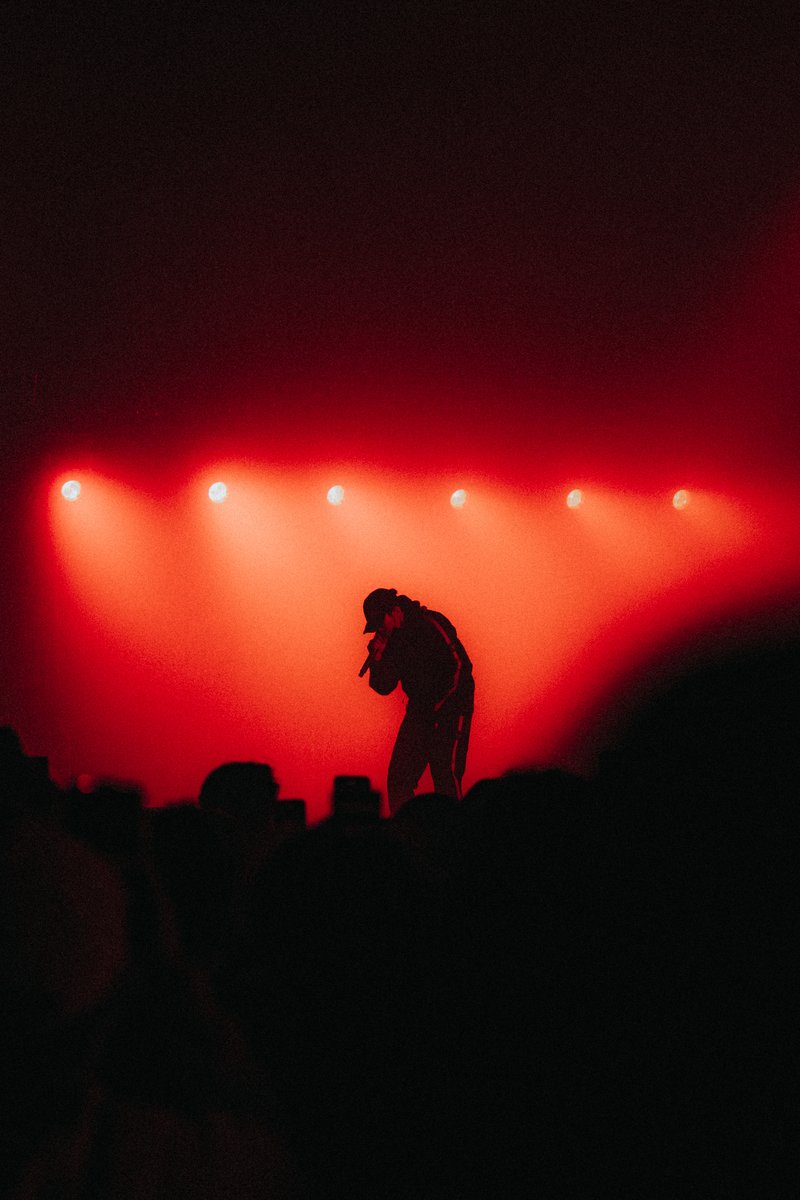 Lo-Fi Entertainment tweet media