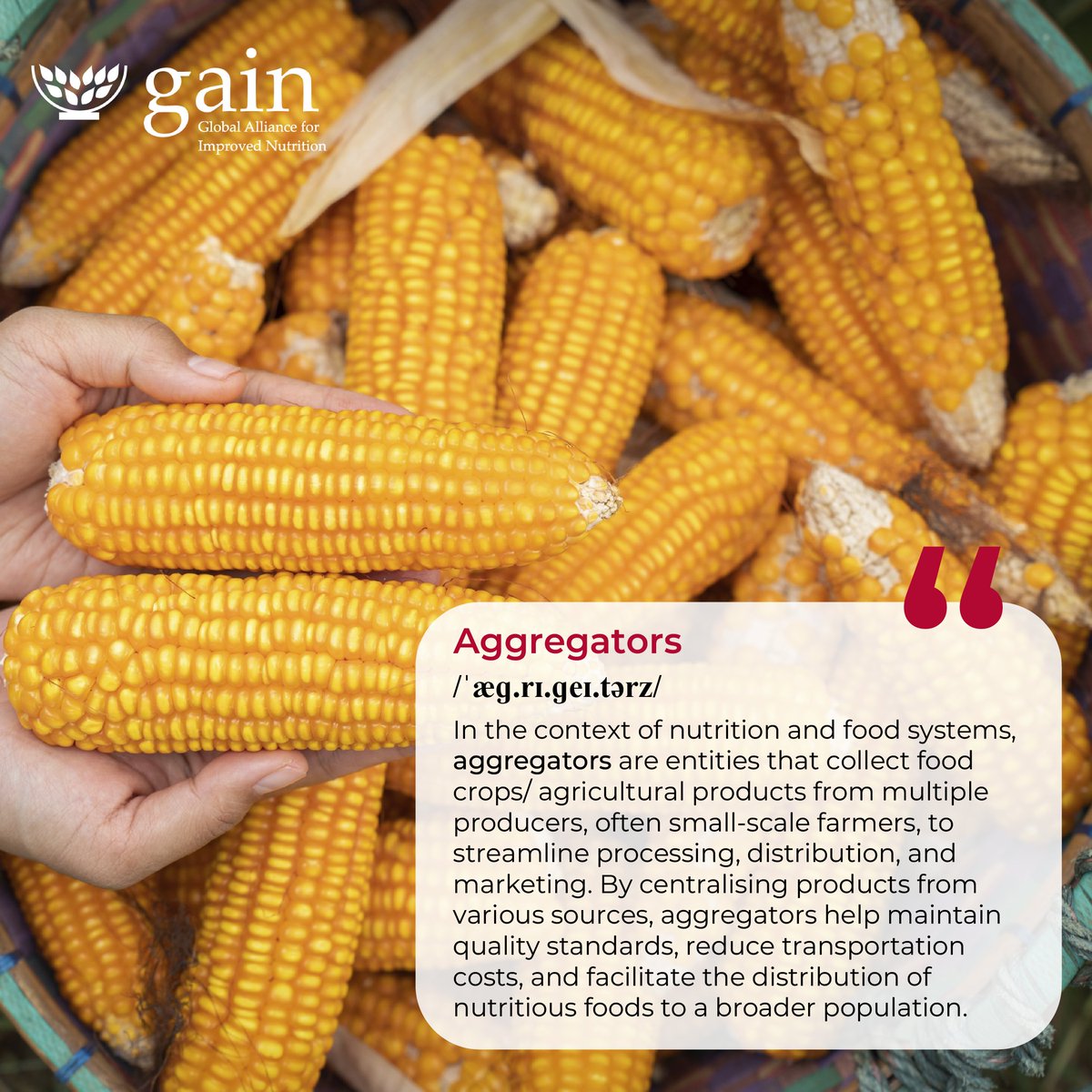 #WordOfTheWeek

Did You Know?
In food systems, aggregators play a key role in connecting small-scale farmers to markets! They collect crops from multiple producers, helping ensure quality, cut transport costs, and get nutritious food to more people faster and more efficiently.