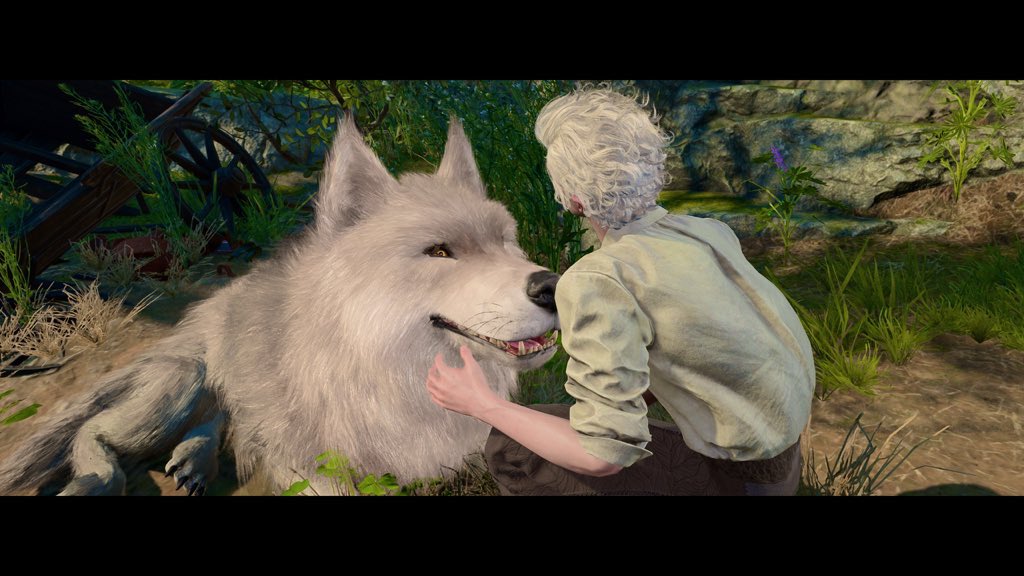 Reyl0s's tweet photo. She protecc. She attacc. 🐺
Leira getting pets and cuddles from her vampire husband.
#astarion #wildspawn #bg3 https://t.co/yzs0IoHyVF