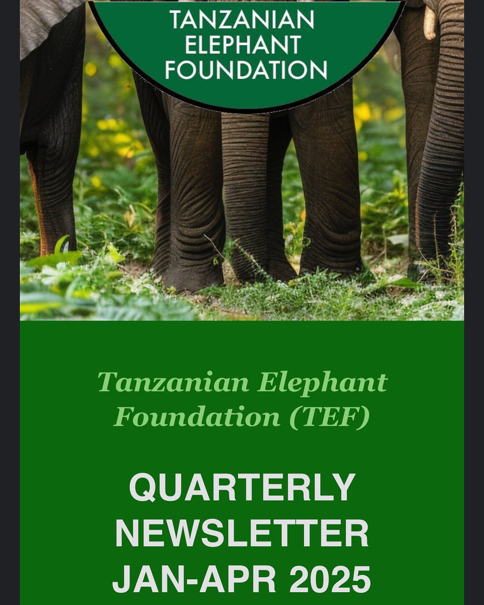 🐘🐝Discover the latest news in our conservation efforts, project updates and impactful stories from the field in the newest newsletter. 🌍Click the link in our bio to read, subscribe and stay updated🗞️
 #TEF#HumanElephantCoexistence #WildlifeProtection#NewsletterUpdates