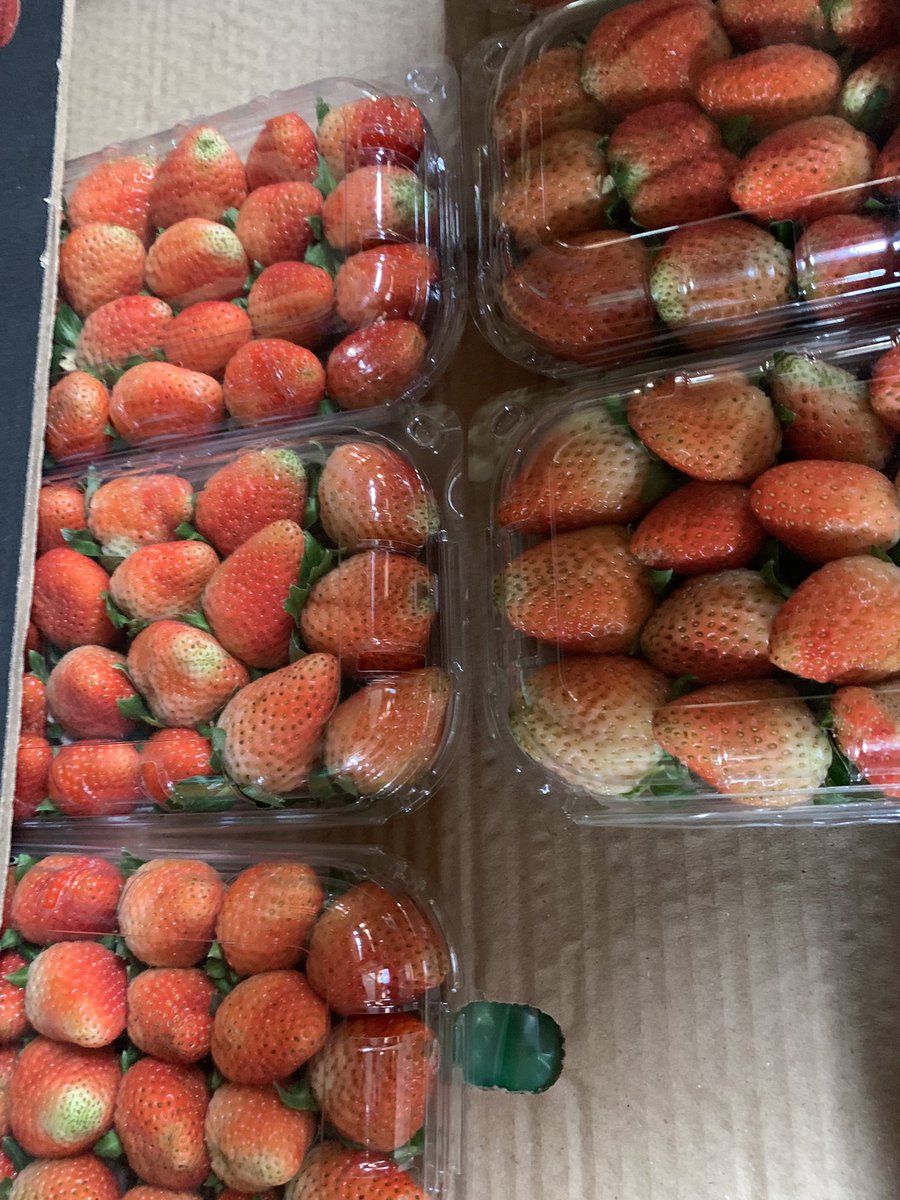 fruiteys's tweet photo. Strawberries and blueberries 
N5800 per pack 

Call 07084273113
🍓🫐🍓🫐🍓🫐🍓🫐🍓🫐🍓 https://t.co/ANwjUk0UXj