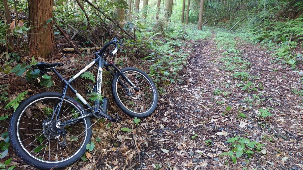 しごおわサイクリング

下界は暑いから山に逃げてきた。
 #サイクリング
 #グラベルモドキ