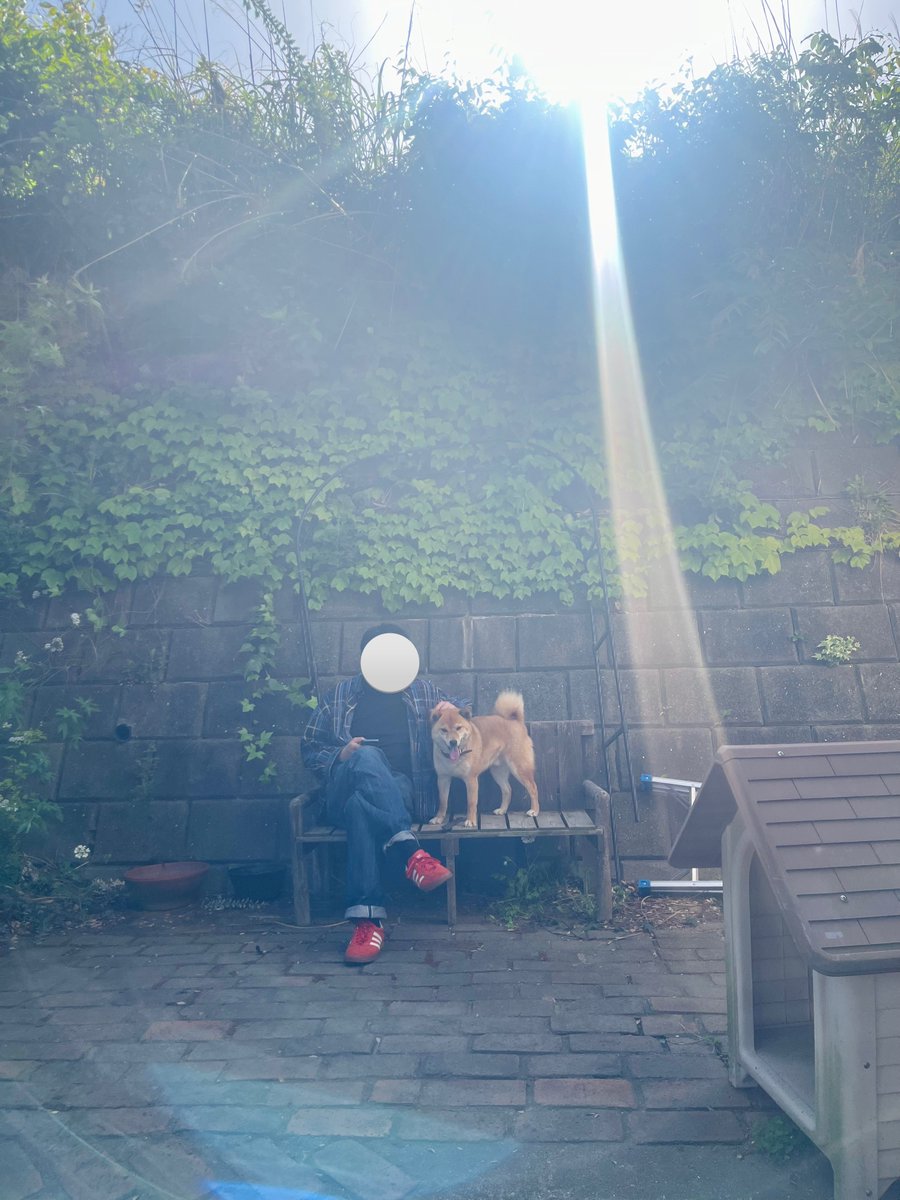 🌞 (@poprisun) on Twitter photo 