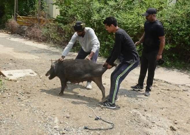 pradeep14869's tweet photo. @JaikyYadav16 ...
#Hindistan
#OperationSindoor
#Pakistan #khanumarfa
गू खाना है विश्व के ,सुअरों का अधिकार।
मत करिए मासूम पर , इतना अत्याचार।।
"प्रदीप,,🥵😭 https://t.co/JuUXjcvvY0