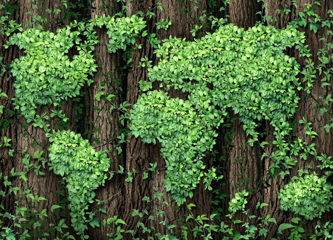 🧄📦 Garlic, peppers, freight rates—what's changing this Spring?
Frucom's Market Update breaks down key crop &amp; shipping trends from China &amp; Peru.
Read more → loom.ly/K0tWUeU
#FrozenSupplyChain #LogisticsNews #Garlic #Avocado #Peppers