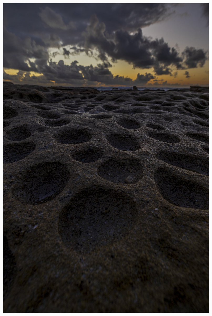 34_mediaOZ's tweet image. Otherworldly landscape at the beach 

#polarprointhewild #kuhlmountainculture #3leggedthing #canon #landscapephotographer #sunrise #sunshinecoast