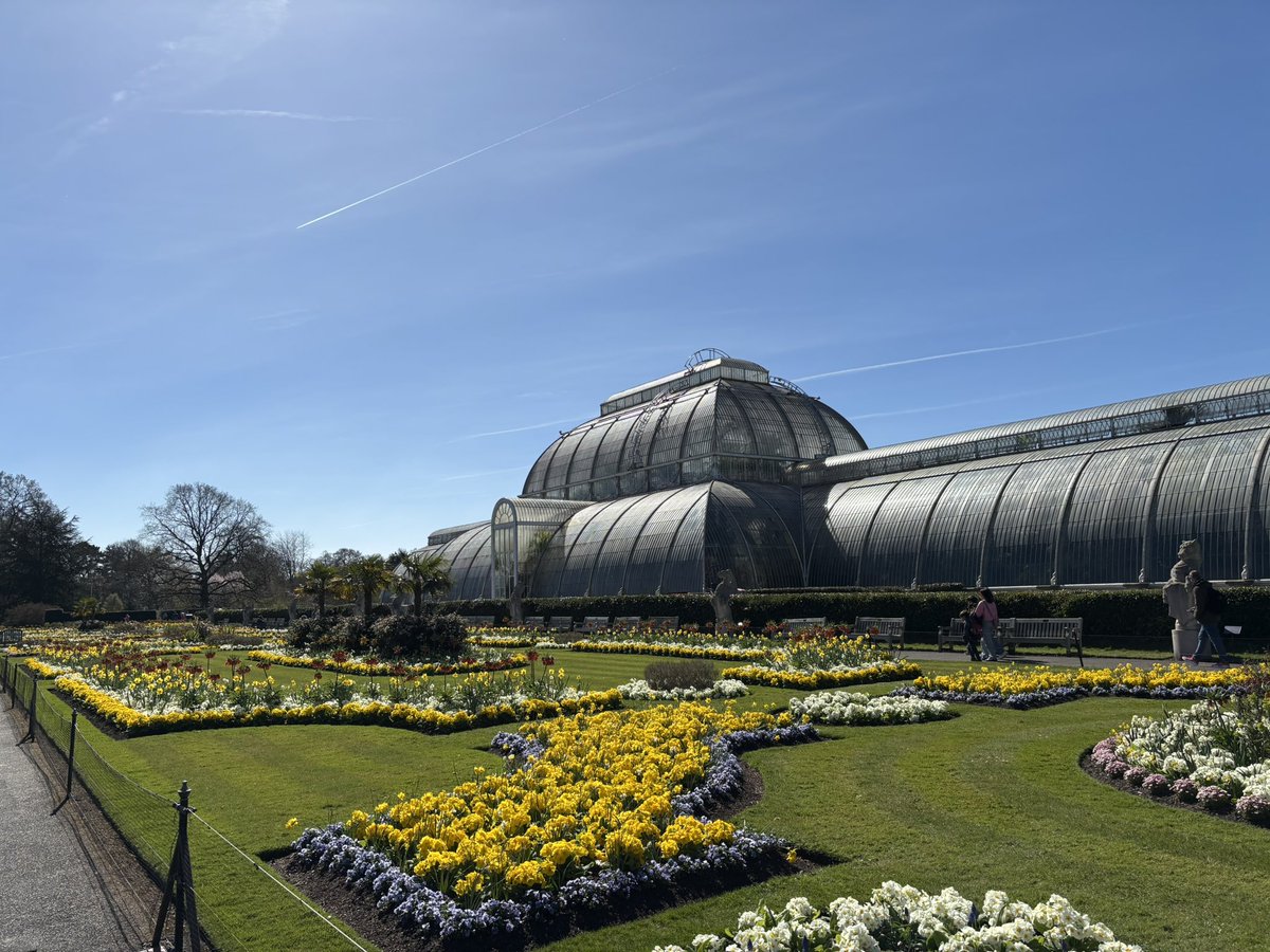 In the Archives, we’re hosting FREE show-and-tell session on 12 May as part of <a href="/UrbanTreeFest/">UrbanTreeFestival</a>! 🌳 
Come along to see great materials all to do with Kew's trees. It's first come first serve, so make sure to book soon on the Urban Tree Festival website! ⏰#KewLA