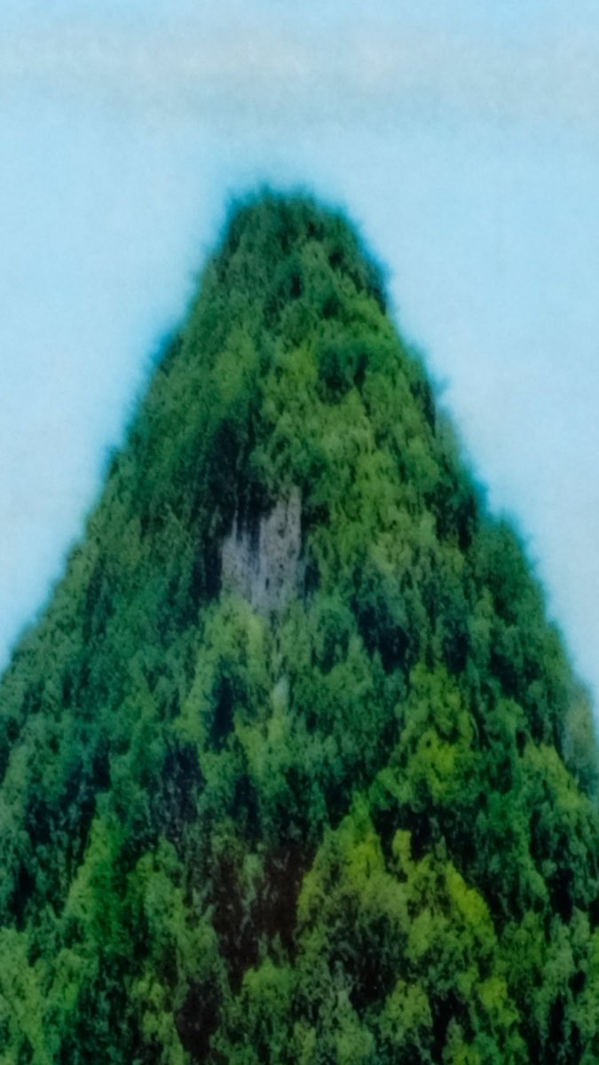 🏝️

【Distortion shape.8】
（2023-2025）
297×420×20mm
Inkjet print on wood panel with Water Glue