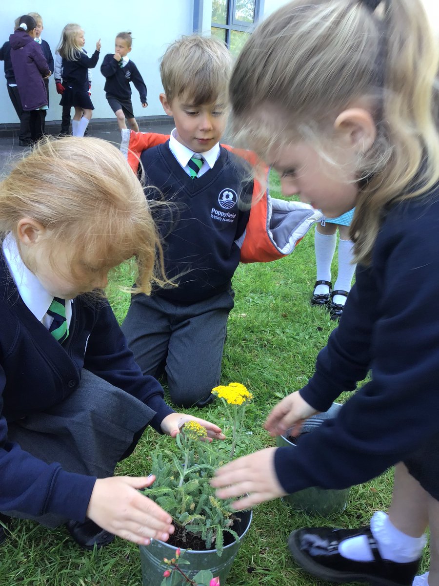 MissLHiggins tweet media