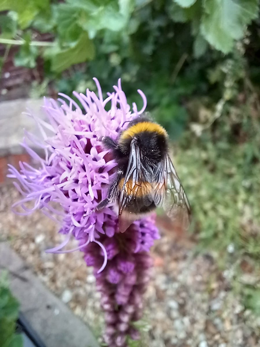 Name can not be blank (@feltsfunky) on Twitter photo 