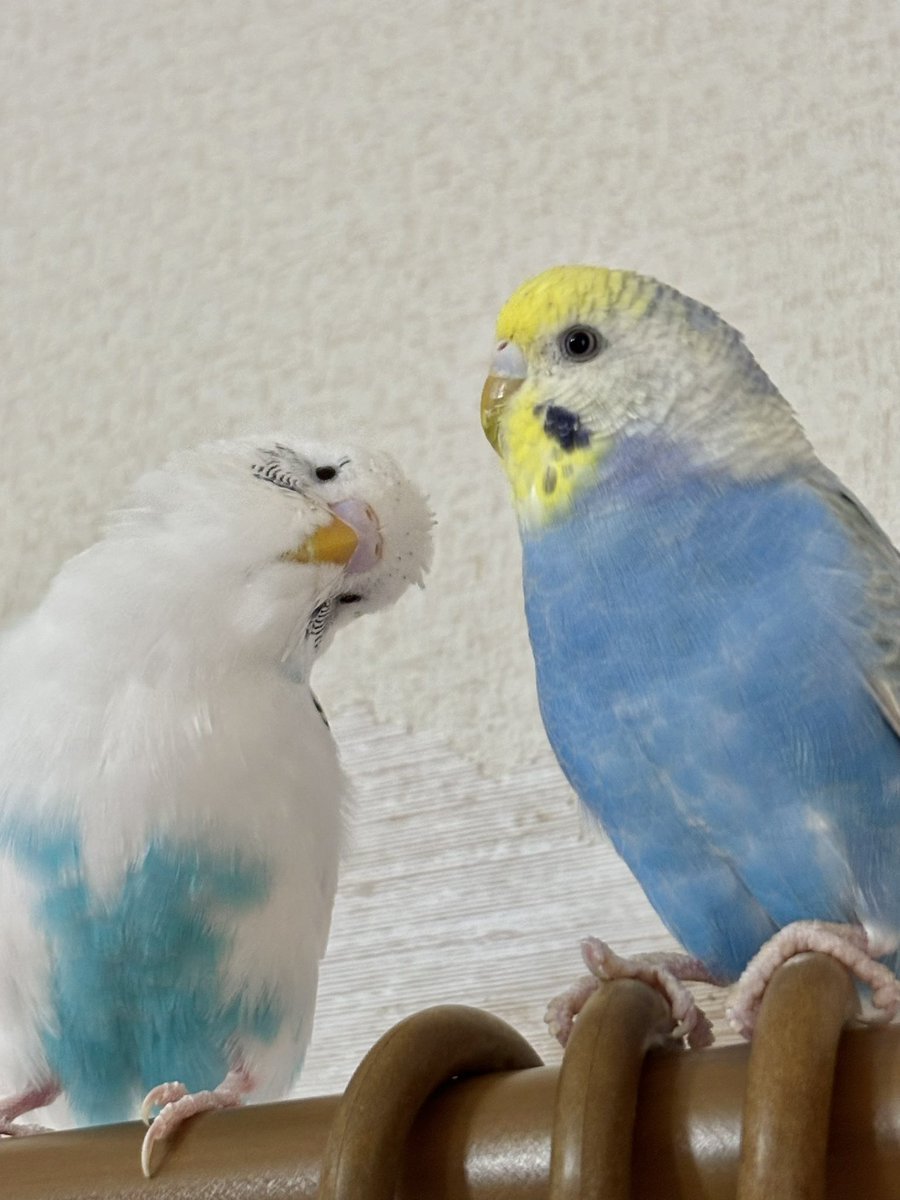 90度ってこうするんよｺｷｯ